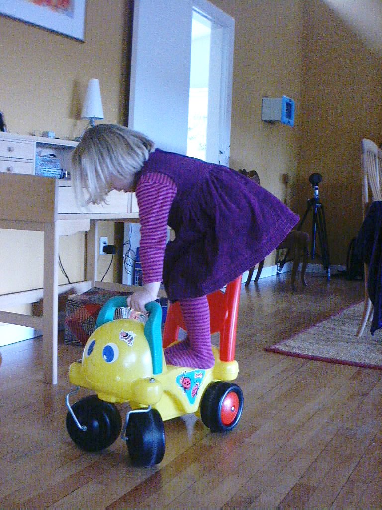 23.i leger i srtuen